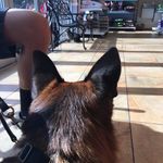 Randy Root - @randy_root - Instagram