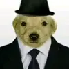 Randy Royal - @randy.emanuel.cl - TikTok