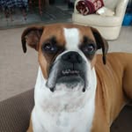 Randy E Ruark - @ruarkrandye - Instagram