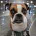 Randy E Ruark - Facebook