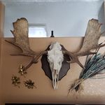 Randy Ruff - @ruffneck61 - Instagram
