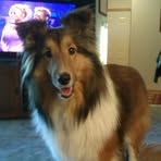 Randy Rupp - Facebook