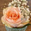 Randy Rupp - @randy.rupp - TikTok