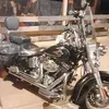 randyrupprecht139 - @randyrupprecht139 - TikTok