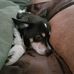 Randy Rushing - Facebook