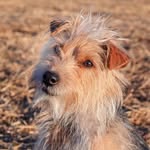 Randy Rushing - @r_rushing_images - Instagram