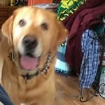 Randy Rust - @r2_bsue - Instagram