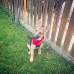 Randy Rust - @randy.wilson.94064 - Instagram