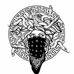 Randy Sachs - Facebook