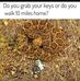 Randy Sadler - Facebook