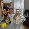 randysanborn696 - @randysanborn696 - TikTok