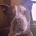 Randy Sanders - Facebook