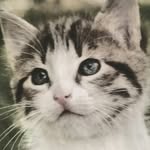Randy Sarver - @lord_hater7 - Instagram