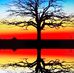 Randy Saunders - Facebook