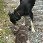 Randy Schaeffer - @dzhayduke - Instagram
