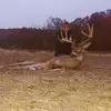 Randy Shaeffer - @randyshaeffer - TikTok