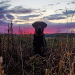 Randy Schafer - @rd.schafe.7 - Instagram