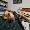 Randy Schafer - @randy.schafer2 - TikTok