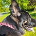 Randy Schaff - Facebook