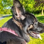 Randy Schaff - @randyschaffschaff - Instagram
