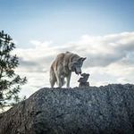 Randy Schaffer - @randyschaffer2 - Instagram