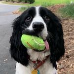 Randy Schaffer - @randy_schaffer - Instagram