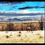 Randy Schaffner - @randyschaffner - Instagram