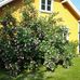Randi Schie - Facebook