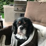 Randy Schild - @randyrhs1 - Instagram