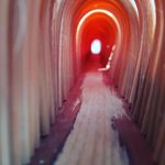 Randy - @1randyschiller2020 - Instagram
