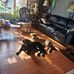 Randy Schiller - Facebook