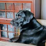 Randy Schiller - @randyschiller - Instagram