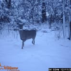Randy Schlueter - Facebook