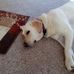 Randy Schlueter - Facebook