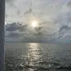 randyschoof86 - @randyschoof86 - TikTok