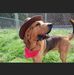 Randy Schoolcraft - Facebook