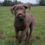 Randy Seals - @guideboyrandy - Instagram