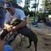 Randy Seals - Facebook