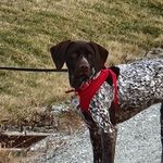 Randy Secrist - @randalls0806 - Instagram
