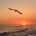 Randy Seitzer - Facebook
