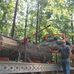 Randy Shaffer - Facebook