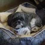 Randy Sherman - @mfdc2 - Instagram