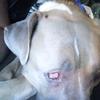 randysherman4911 - @randysherman4911 - TikTok