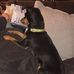 Randy Skaggs - Facebook