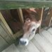 Randy Skaggs - Facebook