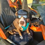 Randy Skeens - @randy_skeens_ - Instagram