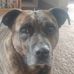 Randy Slack - Facebook