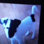 Randy Slater - @randyslater - Instagram