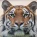 Randy Slater - Facebook