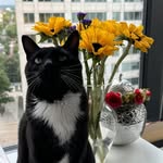 Randy Slater - @rantehhh - Instagram